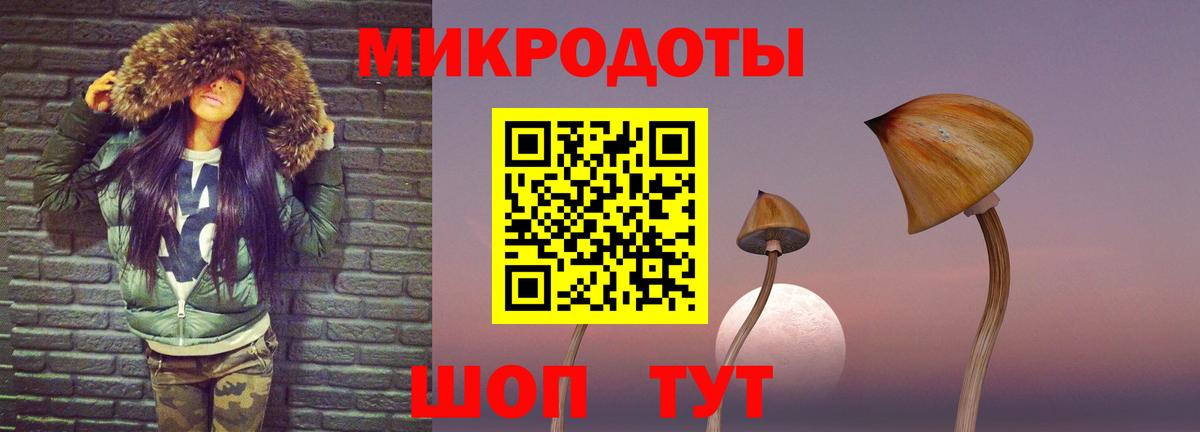 Псилоцибиновые грибы Cubensis Химки